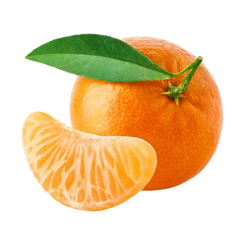 Quýt