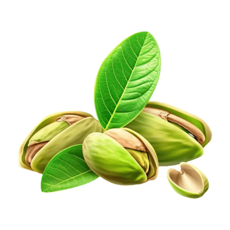 Lá hạt dẻ cười