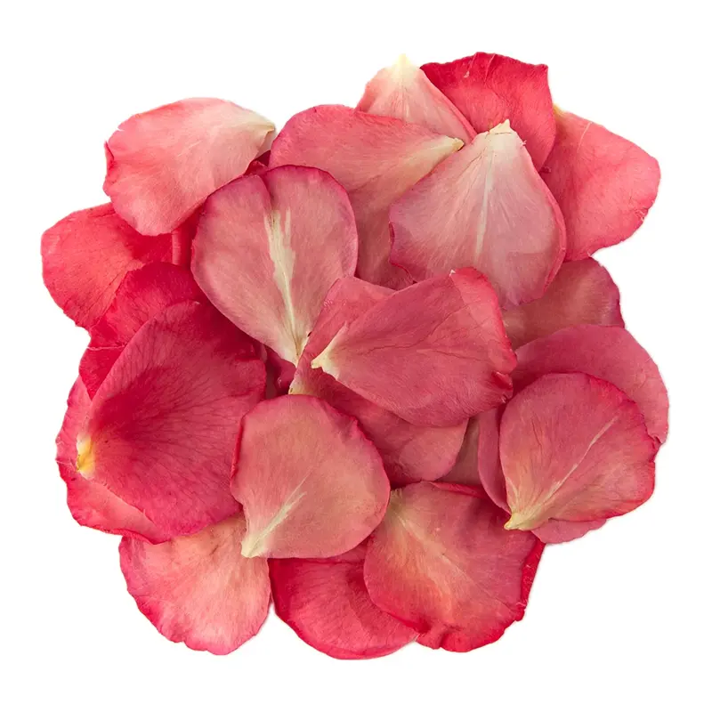 Cánh hoa hồng