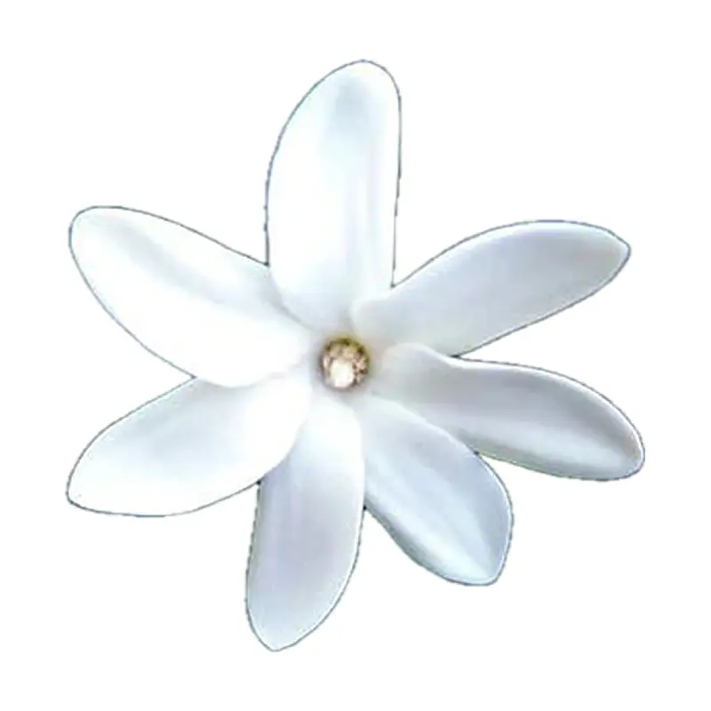 Hoa dành dành Tahiti