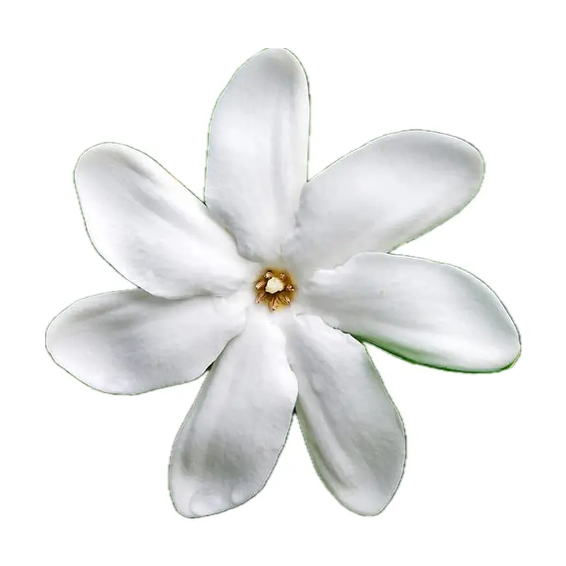 Hoa Tiare Tahiti