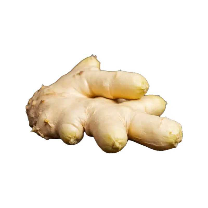 Gừng trắng