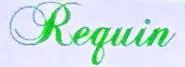 Requin